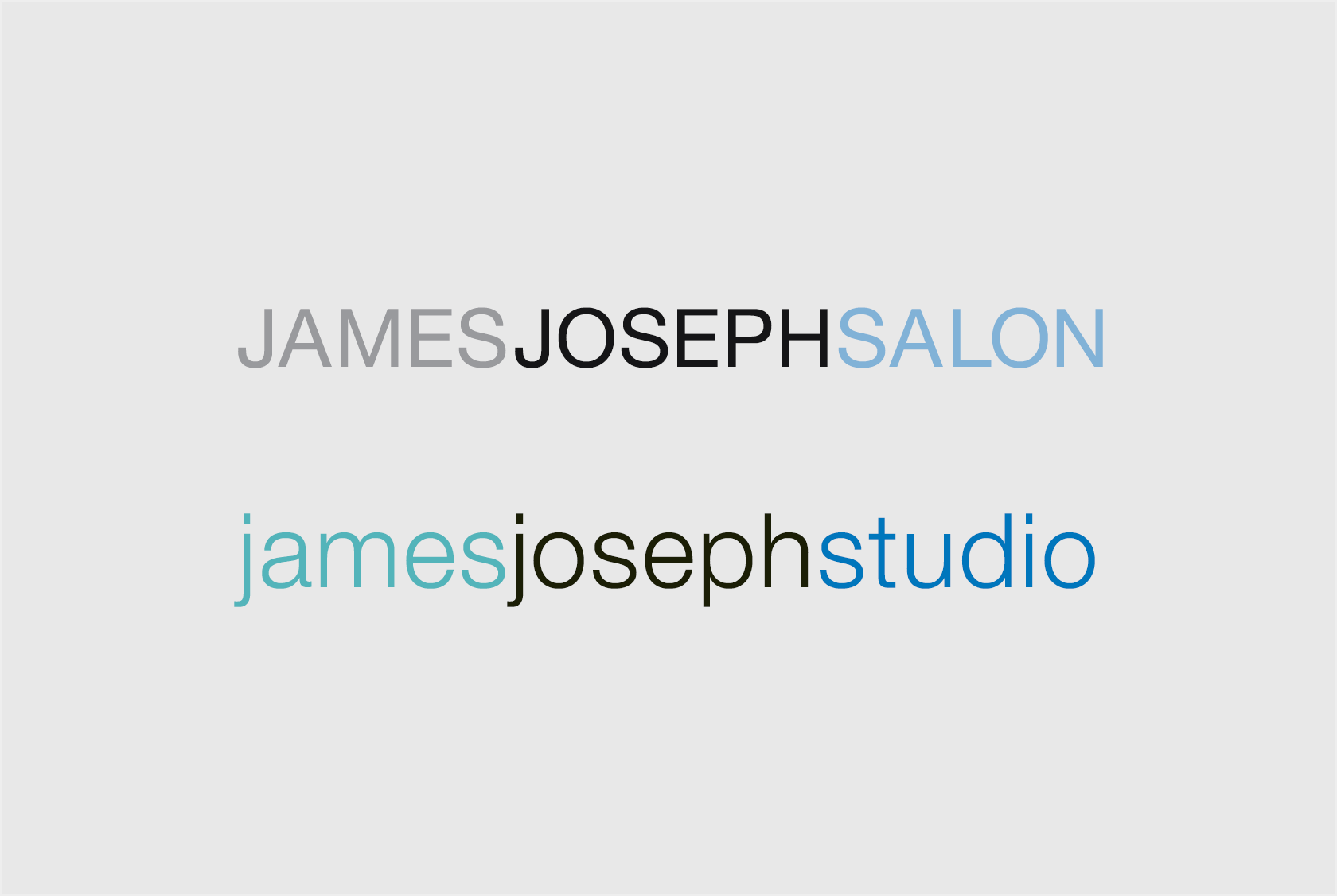 Tastebuds Portfolio Project | branding and logo designs for hair salons