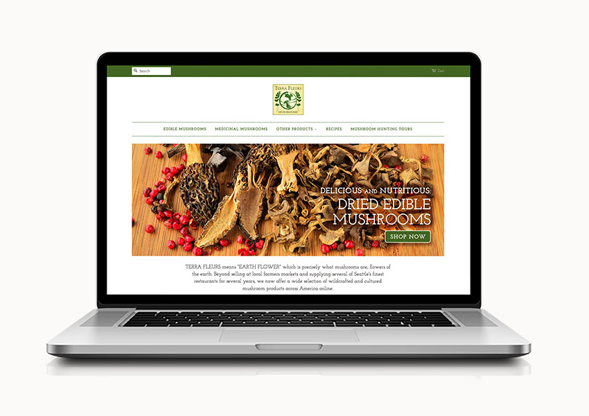 SNAPSHOT IMAGE: Website design of eCommerce business on Shopify that sold medicinal mushrooms