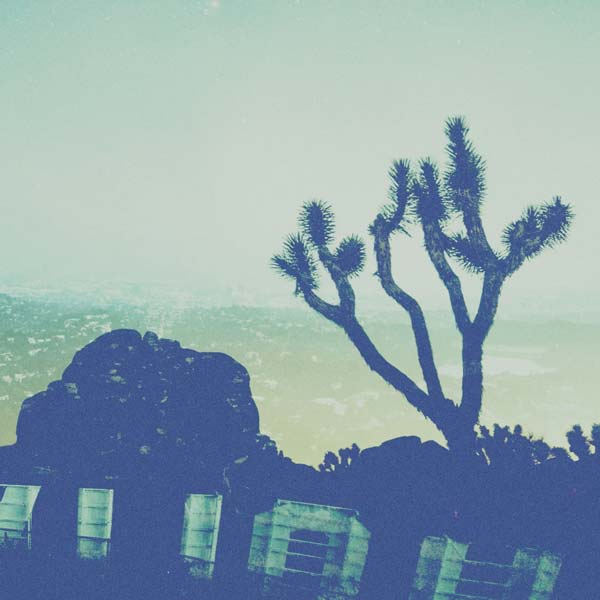 Circular image of a Los Angeles nightime horizon, perched behind the Hollywood sign; linking to a case study exploring work for a mental health client